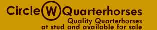 Circle W Quarterhorses - Quality Quarterhorses at stud and available for sale